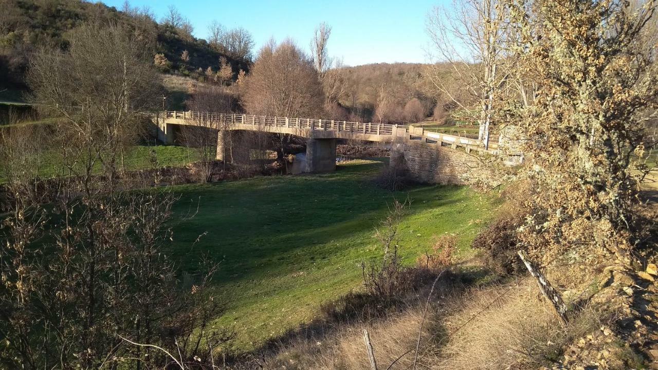 Serapicos House Bragança Eksteriør bilde