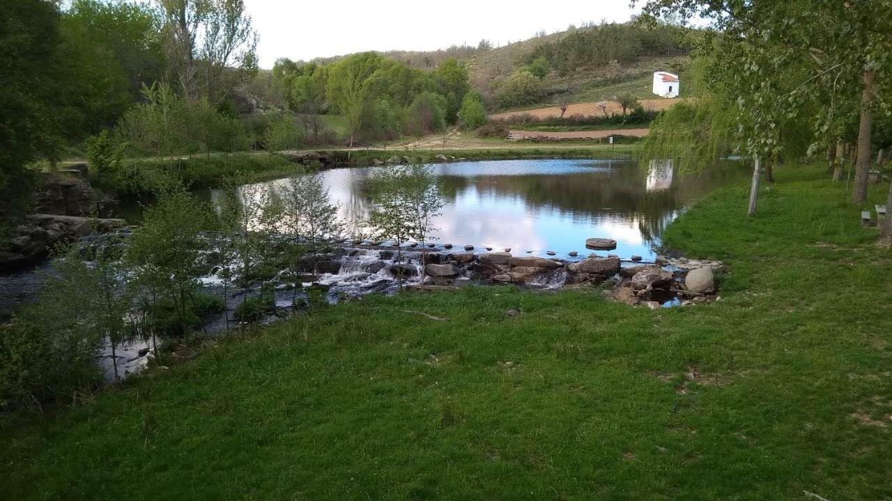 Serapicos House Bragança Eksteriør bilde